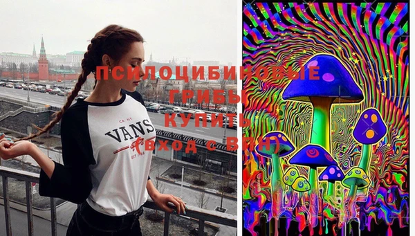 МДПВ Алагир