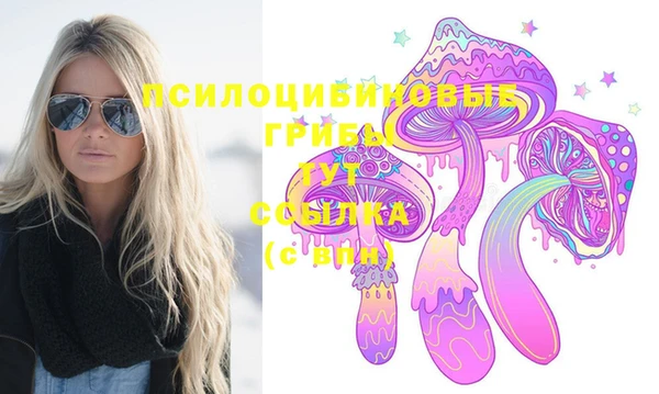 крисы Бабаево