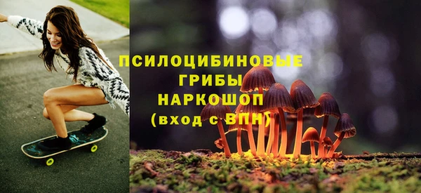 тгк Аша