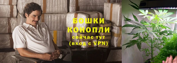 крисы Бабаево