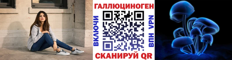 дарнет шоп Дмитриев Галлюциногенные грибы Psilocybe